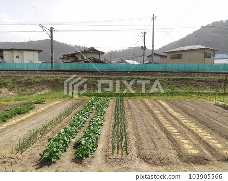 Tohoku Main Line and field 103905566