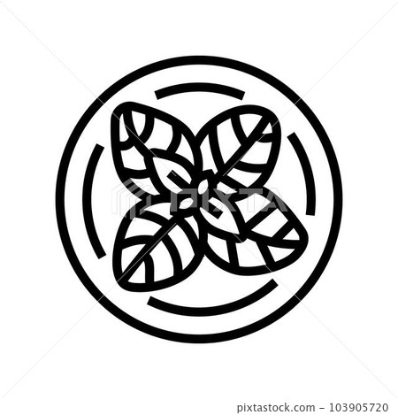 basil cosmetic plant line icon vector illustration 103905720