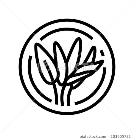 sage cosmetic plant line icon vector illustration 103905721
