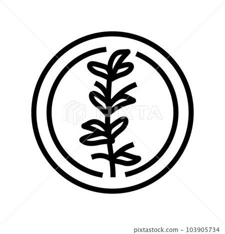 thyme cosmetic plant line icon vector illustration 103905734