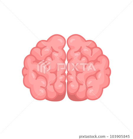 Human brain jagged. The concept of developing learning and creativity skills. 103905845