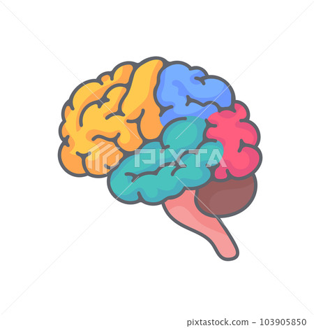 Human brain jagged. The concept of developing learning and creativity skills. 103905850