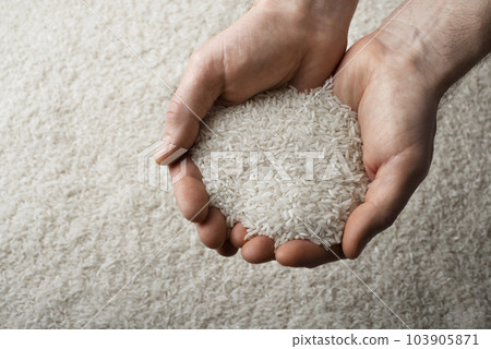 Human hands holding handful of rice plain rice background 103905871