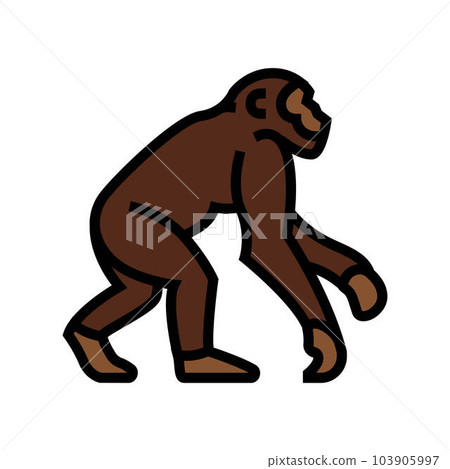 primate ancestors human evolution color icon vector illustration primate ancestors human evolution color icon vector illustration 103905997