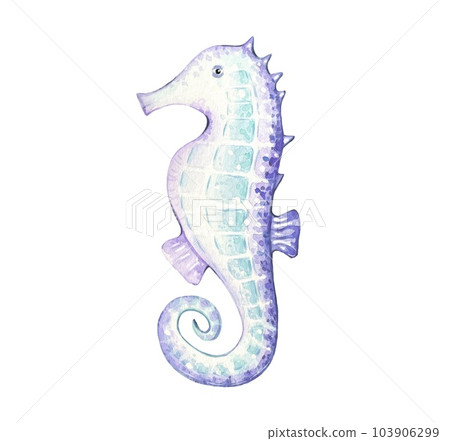 Seahorse in purple and turquoise colors, watercolor illustration 103906299