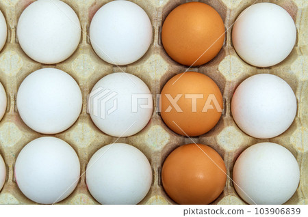 Fresh white and brown chicken eggs in tray. Egg is the main ingredient for cooking Fresh white and brown chicken eggs in tray. Egg is the main ingredient for cooking 103906839