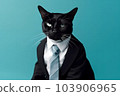 Stylish fashionable business cat in a black jacket and tie on a blue pastel background in the studio 103906965