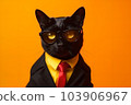 Black fashion business cat with glasses on a bright yellow background. 103906967