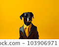 Stylish cool dog in a black business jacket, suit and black glasses as a successful businessman.  103906971