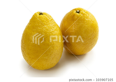 玉格葫蘆 玉格葫蘆 103907105