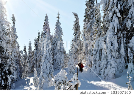 People hiking in beautiful winter mountains People hiking in beautiful winter mountains 103907160