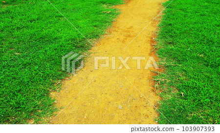 Scenery of a narrow dirt road in Toneri Park (Adachi Ward, Tokyo) Scenery of a narrow dirt road in Toneri Park (Adachi Ward, Tokyo) 103907393