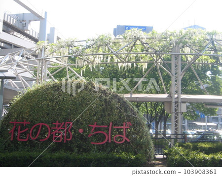 2013・Chiba Prefecture・Chiba City・Scenery・No.14 2013・Chiba Prefecture・Chiba City・Scenery・No.14 103908361
