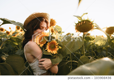 Smiling woman wearing a hat standing in a field of sunflowers in sunset 103908436