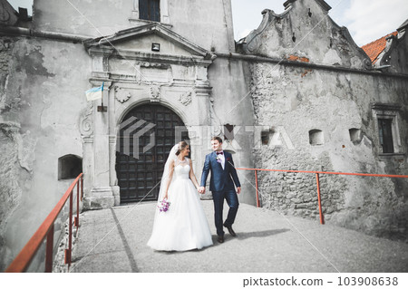 Amazing happy gentle stylish beautiful romantic caucasian couple on the background ancient baroque castle 103908638
