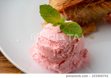 Close up photo of Turkish baklava served with ice cream Close up photo of Turkish baklava served with ice cream 103908742