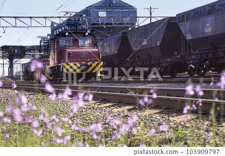 穿越大牟田三池煤礦的懷舊電力機車 103909797