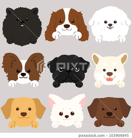 Simple and cute face set of various dogs C with front legs no main lines 103909845
