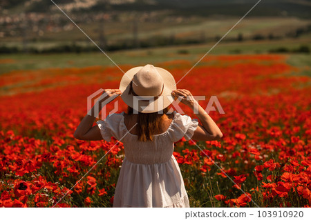 Field of poppies woman. Happy woman in a wight dress and hat stand through a blooming field of poppy. Standing with her back raised her hands up. Field of blooming poppies. 103910920