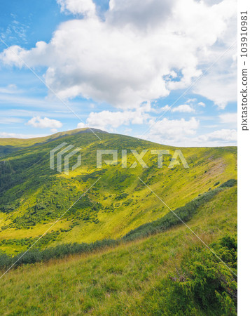green mountain landscape. popular travel destination of ukraine. warm summer forenoon green mountain landscape. popular travel destination of ukraine. warm summer forenoon 103910981