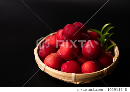 Japanese plum (plum) 103911548