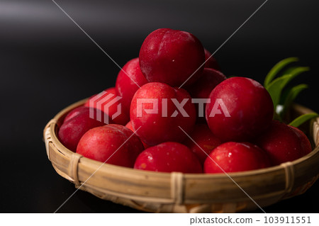 Japanese plum (plum) Japanese plum (plum) 103911551