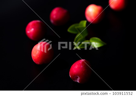 Japanese plum (plum) 103911552
