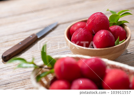 Japanese plum (plum) 103911557