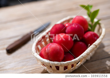 Japanese plum (plum) Japanese plum (plum) 103911558