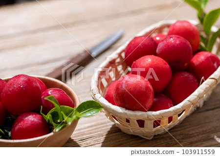 Japanese plum (plum) 103911559