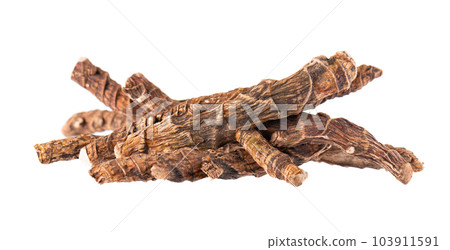 Calamus root isolated on white background. Sweet flag, sway or muskrat root, vasambu. Dry root of Acorus calamus. Calamus root isolated on white background. Sweet flag, sway or muskrat root, vasambu. Dry root of Acorus calamus. 103911591