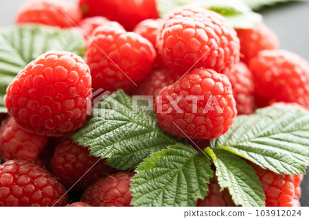 Fresh red raspberries with leaves macro shot 103912024