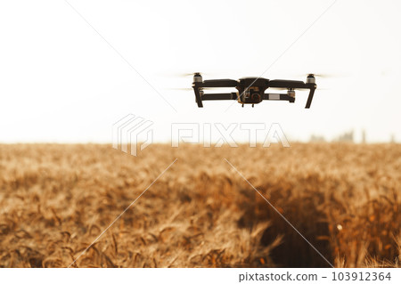 Quadcopter flying above wheat field at sunset Quadcopter flying above wheat field at sunset 103912364