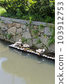 Duck of the water 103912753
