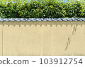 White walls and greenery in early summer 103912754