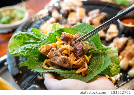 black pork korean food cuisine iron plate restaurant 제주흑돼지 Pan fried black pork black pork black pork korean food cuisine iron plate restaurant 제주흑돼지 Pan fried black pork black pork 103912761