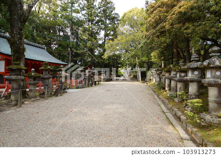 奈良春日大社世界遺產 103913273