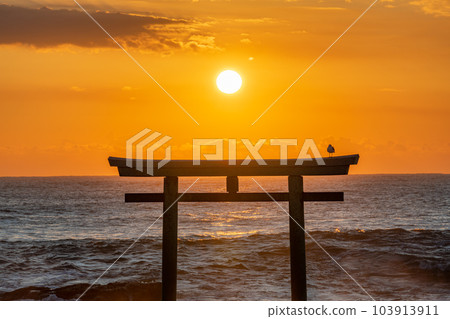 Oarai Town, Ibaraki Prefecture Oarai Isosaki Shrine towering in the morning sun Torii of Kamiiso 103913911