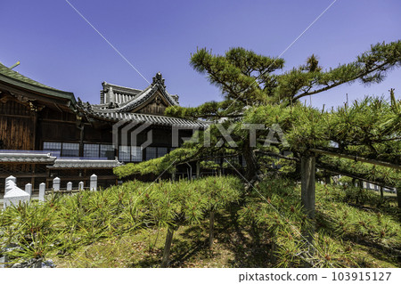 加古川尾上神社 Katae no Matsu 兵庫縣加古川市 103915127