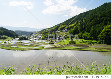 Farming village in early summer, terraced rice fields, rice fields, beautiful blue sky and sunlight 103915145