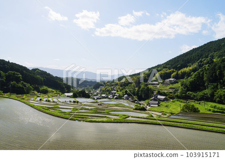 初夏的農村,梯田,稻田,美麗的藍天和陽光 初夏的農村,梯田,稻田,美麗的藍天和陽光 103915171