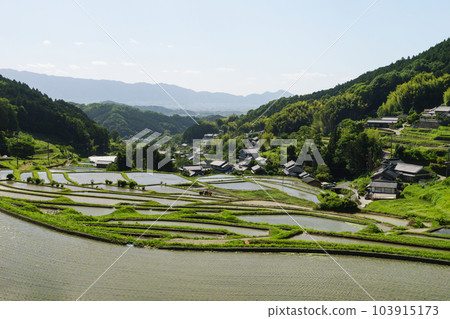初夏的農村，梯田，稻田，美麗的藍天和陽光 103915173