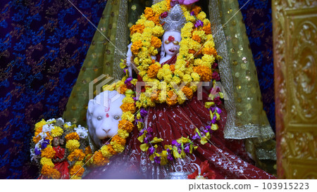 Rare image of Goddess Danteswari, Danteshwari Temple, Jagdalpur, Chhatisgarh, India. One of the 52 Shakti Peethas. Temple was built in the 14th century 103915223