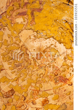 Qusayr Amra, Jordan frescoes of desert castle 103915531