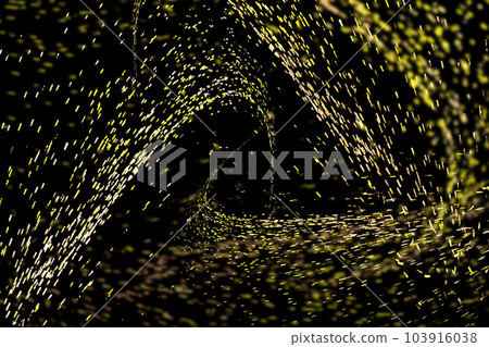 Golden particles extend and converge into the distance and disappear on a black background 103916038