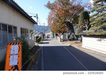 長野縣羽科郡坂木町中條神社砍伐櫸樹前的景色 103916085