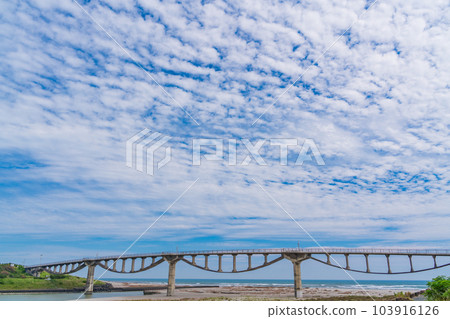 (靜岡縣)Kikukawa河口的Shikibu橋 (靜岡縣)Kikukawa河口的Shikibu橋 103916126