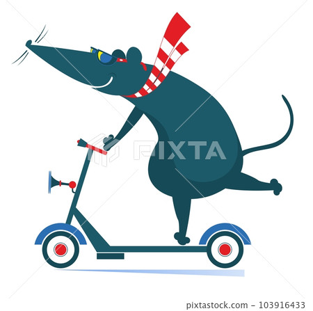 Cute rat or mouse rides on scooter. Cartoon rat or mouse rides on an ecologically clean urban vehicle Cute rat or mouse rides on scooter. Cartoon rat or mouse rides on an ecologically clean urban vehicle 103916433