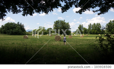 Portrait on back view of woman walking in a meadow with roll wheat 103916500