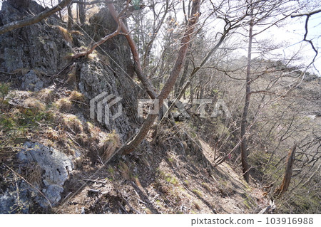 Kiryu City Kiryu City Trail from Shionomiya Shrine to Mt. Maesennindake following the ridgeline There are many rocks near the summit April 4, 2023 Kiryu City Kiryu City Trail from Shionomiya Shrine to Mt. Maesennindake following the ridgeline There are many rocks near the summit April 4, 2023 103916988